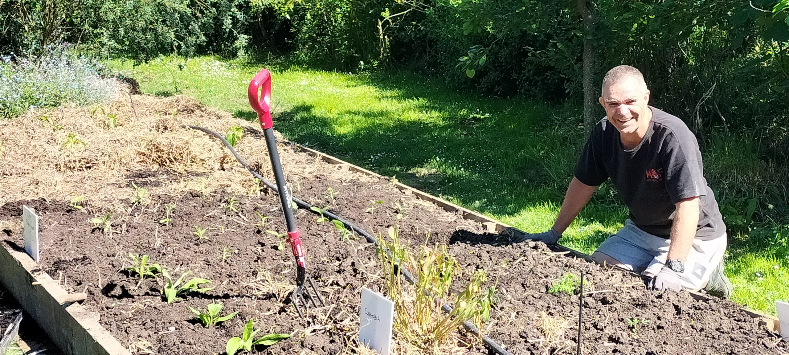 Murray waiting for your help in the garden