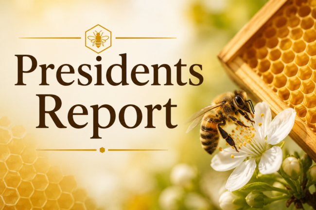President’s Report